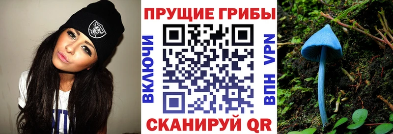 Псилоцибиновые грибы мухоморы Ветлуга